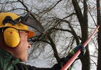 200214-1440-273153175