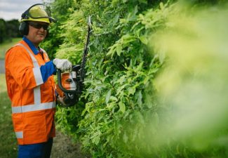 640-X-500-Hedge-Trimming2