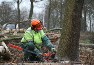 Gevorderde-velling-1